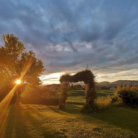 Privatzimmer Steiner Weitendorf  Bagian luar foto
